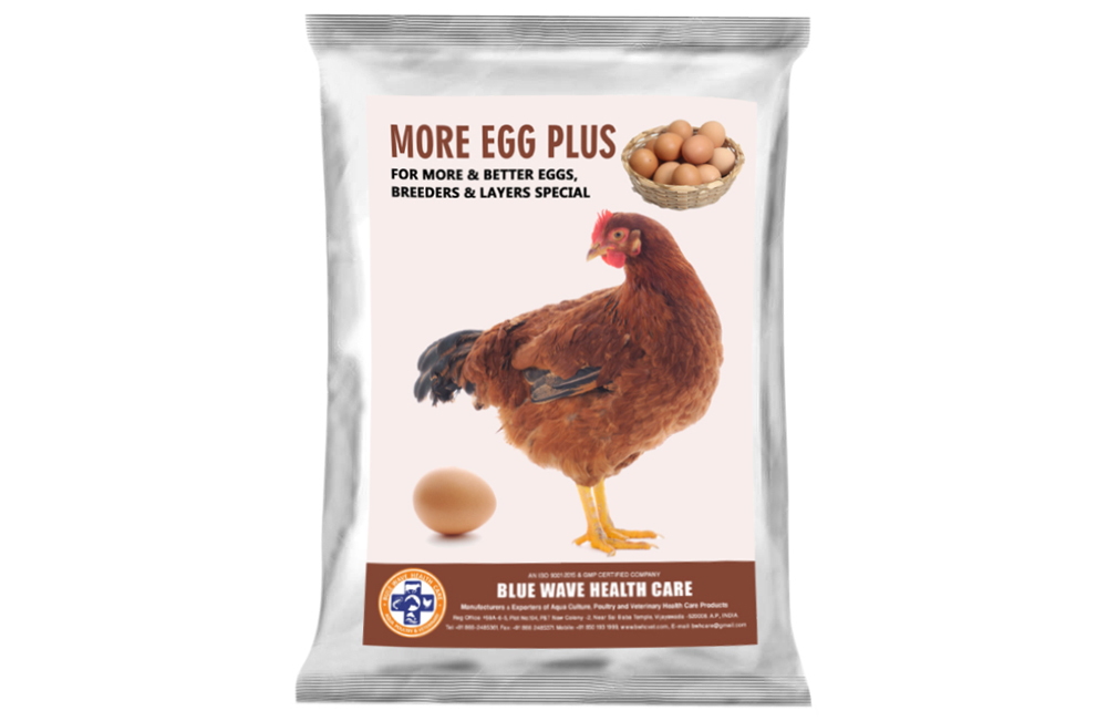 MORE EGG PLUS (For more & better Eggs, Breeders & Layers Special)